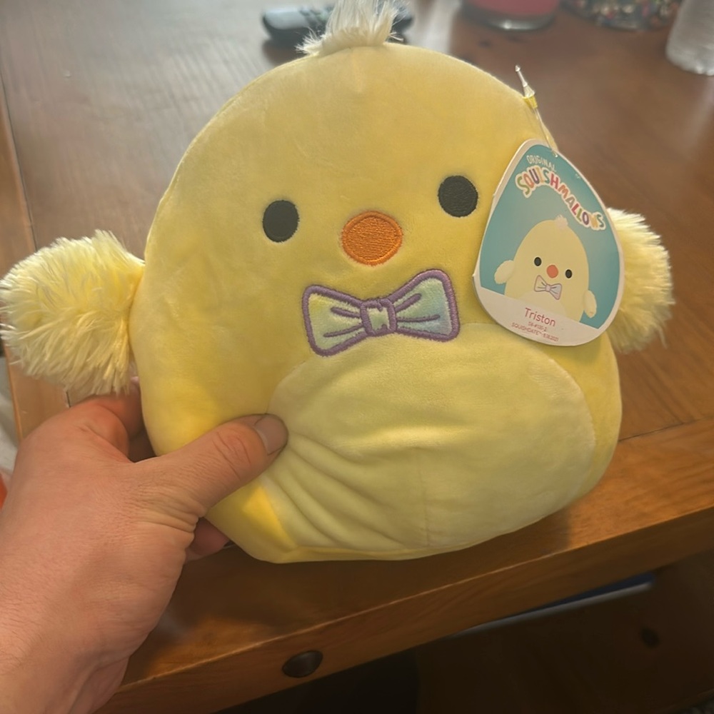 Tristan! Squishmallow!